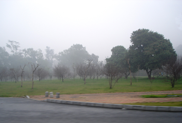 雾中的风景 摄影 闭左眼