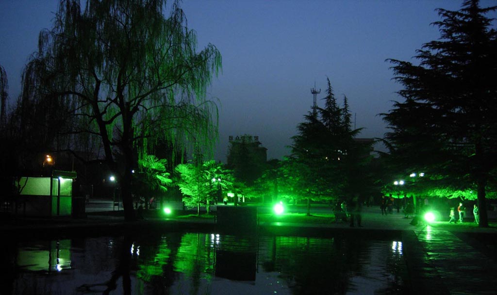 夜景 摄影 柳絮飞扬