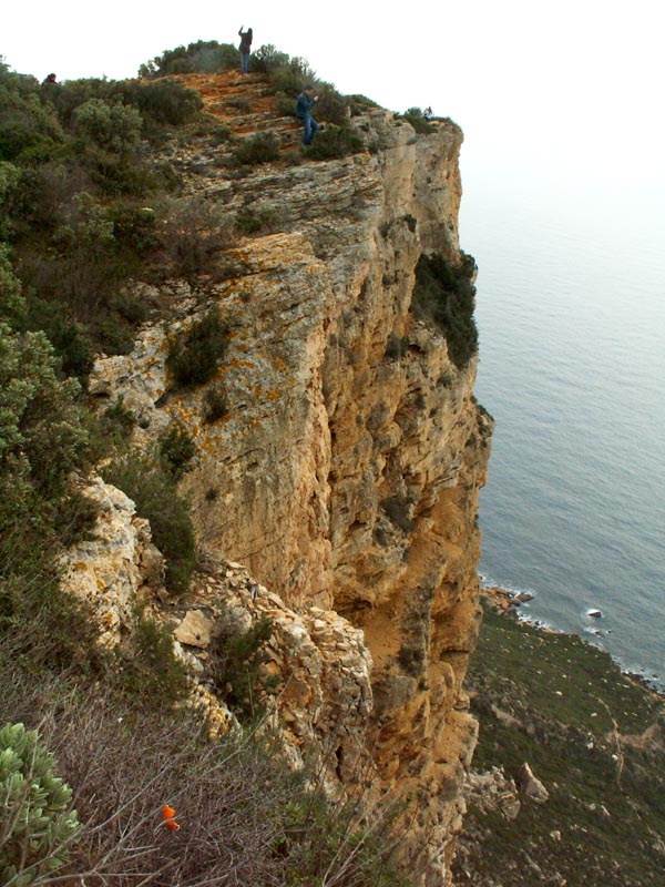 地中海小景三(法地中海小岛) 摄影 weikang