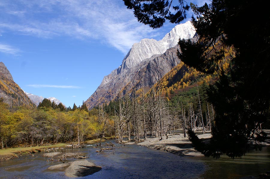 四姑娘山_枯树滩 摄影 因你而来