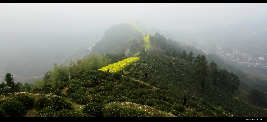 雾中棋山 摄影 cnahtlyyq