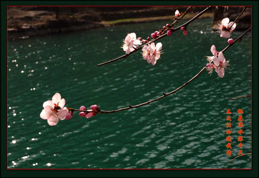 桃花潭 摄影 乐山郎