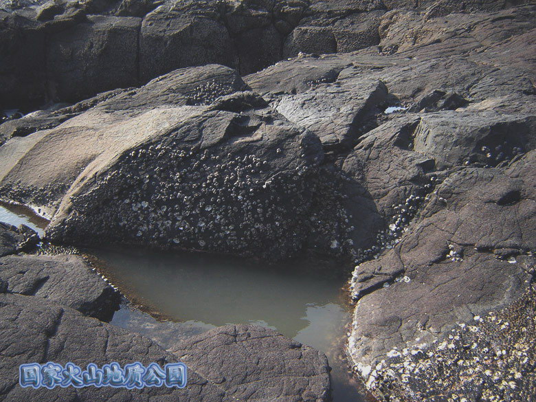 滨海火山国家地质公园--8 摄影 侬云映霞