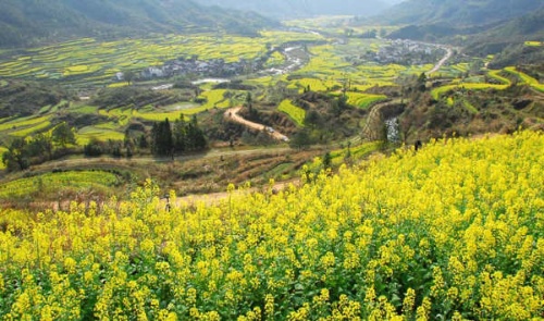 江岭 摄影 纤塵之音