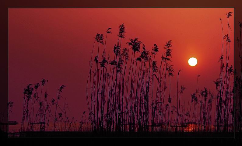 巢湖夕照 摄影 大海124