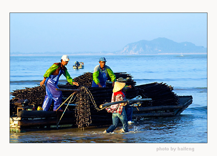 海韵 摄影 海风24348