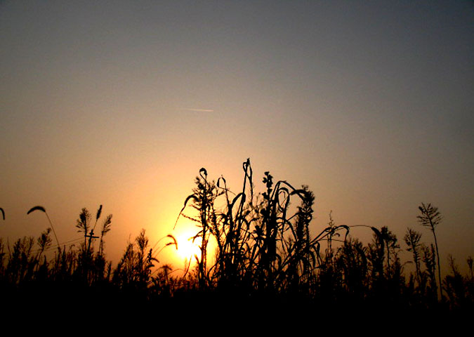 夕阳西下 摄影 黑暗中的镜头