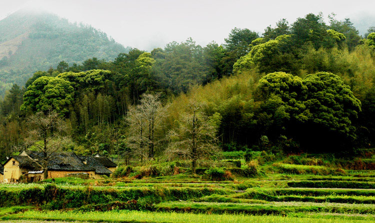 山村春色 摄影 清泉影月