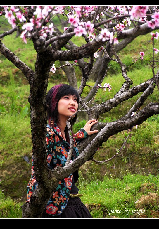 赏花女 摄影 老贵