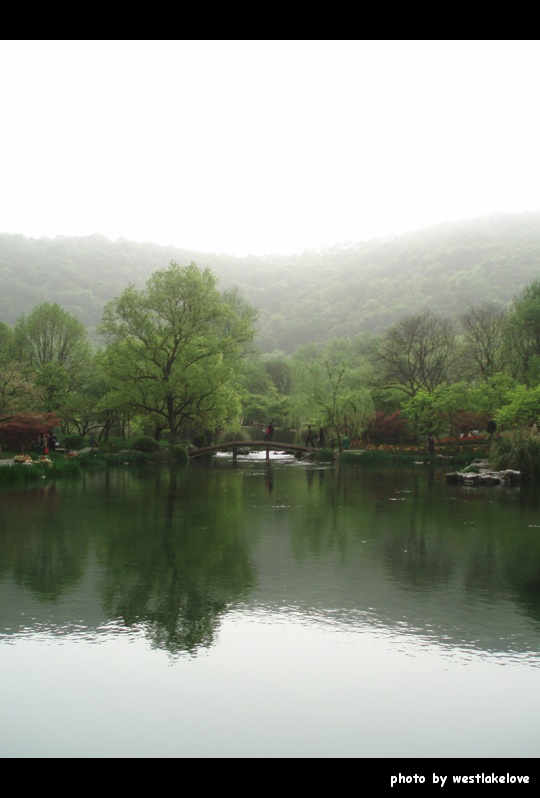 烟雨迷朦 摄影 十四