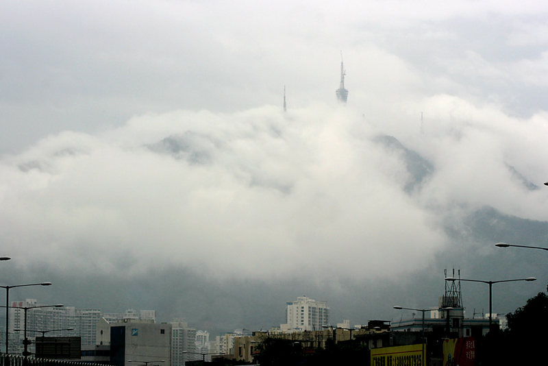 雾锁梧桐山 摄影 华影