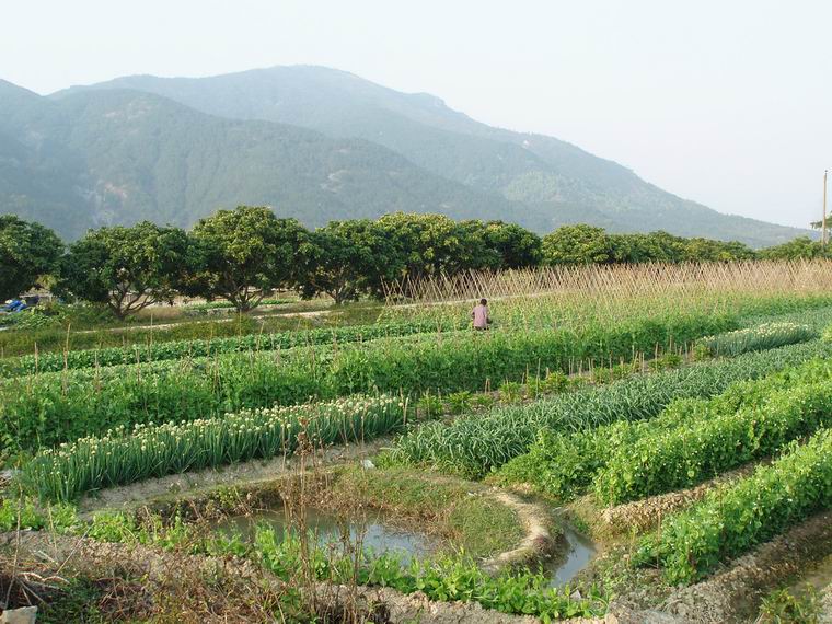 田园风光 摄影 遐想-