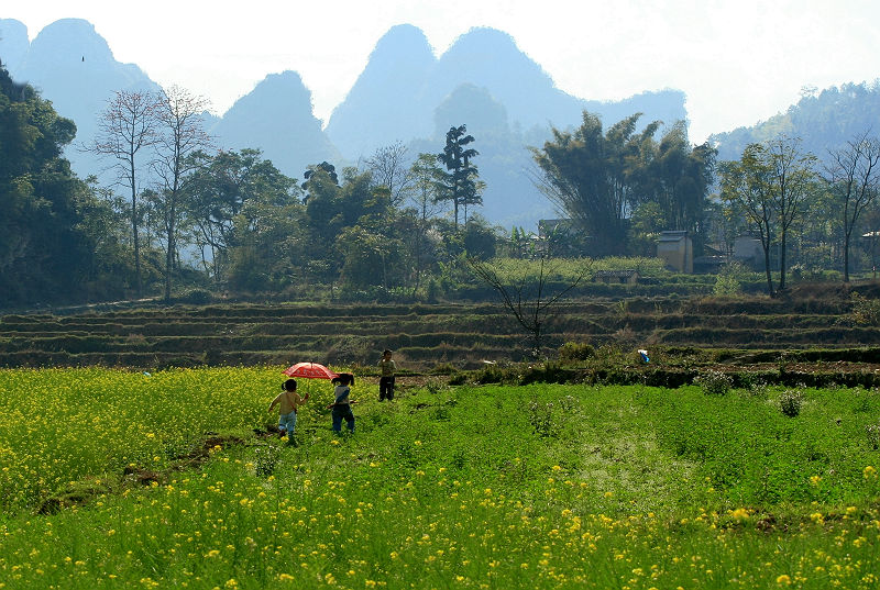 春到山乡 摄影 lfxtt