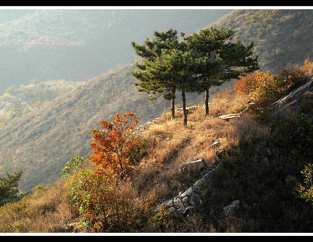 蓟县青山岭小景 摄影 szhh