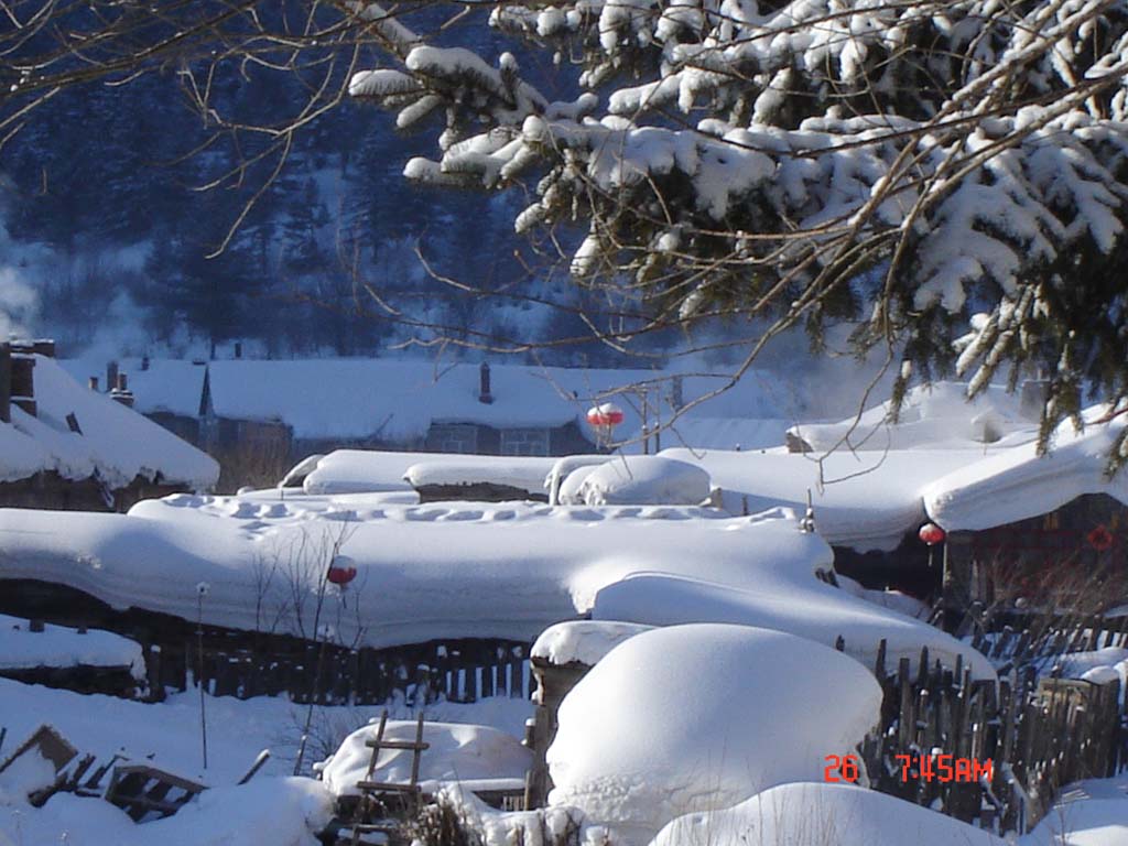 家乡雪8 摄影 小爪冰冰凉凉