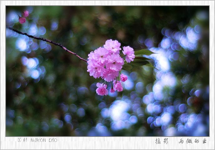 花枝俏 摄影 雨做的云