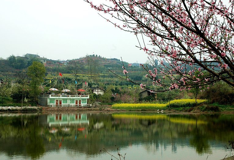 山村农家乐 摄影 酥油茶