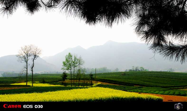 乡村风光 (scenery) 摄影 西伯利亚虎