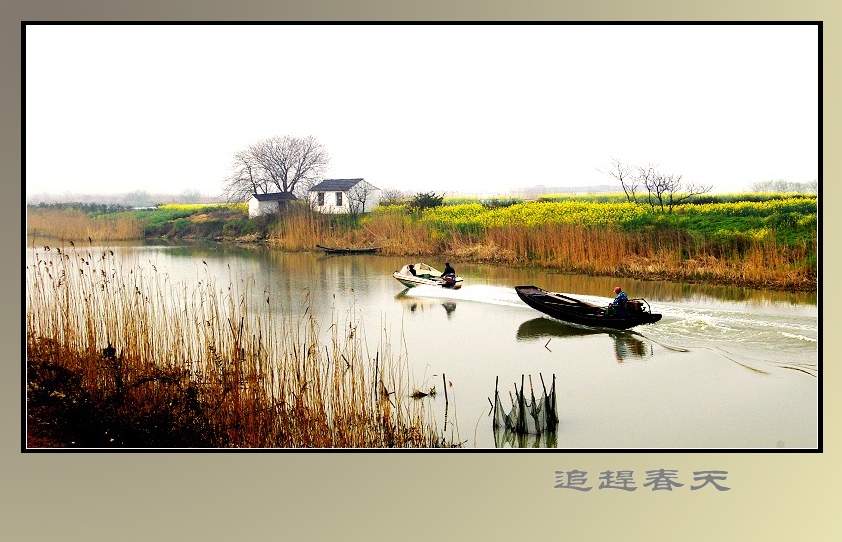 追赶春天 摄影 文竹细雨