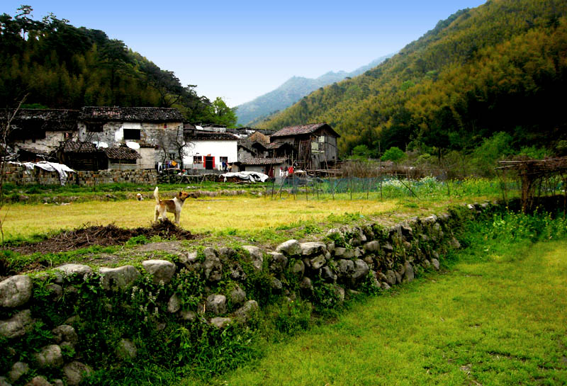 山村四月 摄影 渐渐石