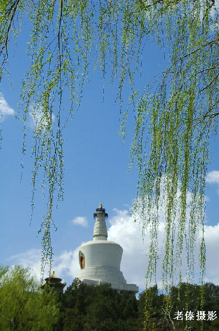 琼岛宝塔 摄影 老傣