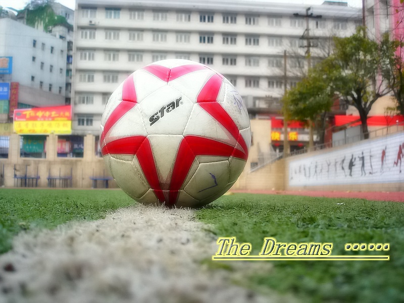 The Dreams …… 摄影 闲杂人等