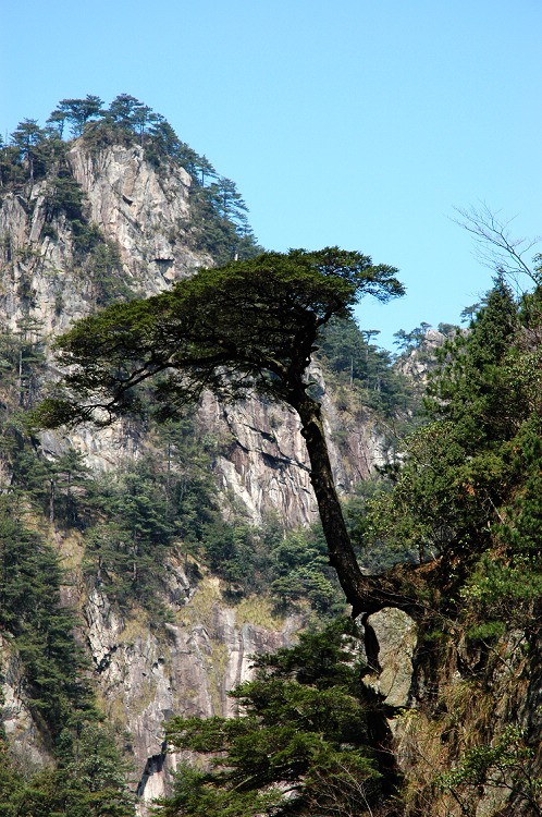 大明山3 摄影 风云老怪.