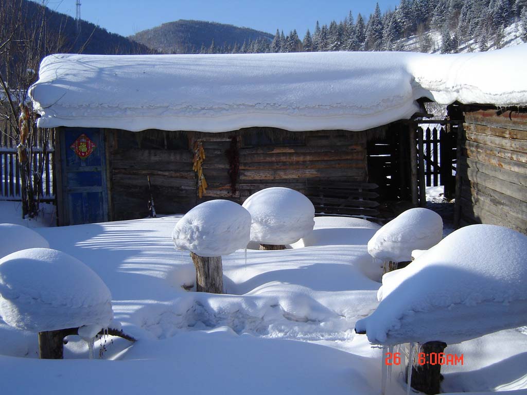 家乡雪10 摄影 小爪冰冰凉凉