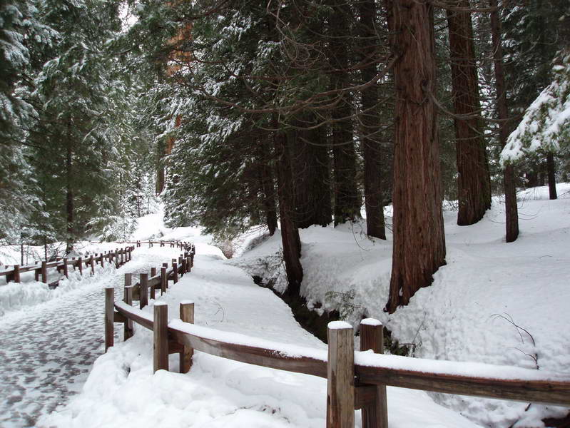 雪里小路 摄影 还游世界