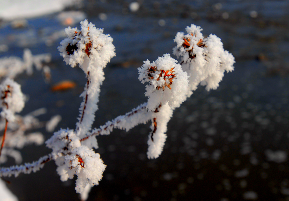 雪 摄影 周伟民