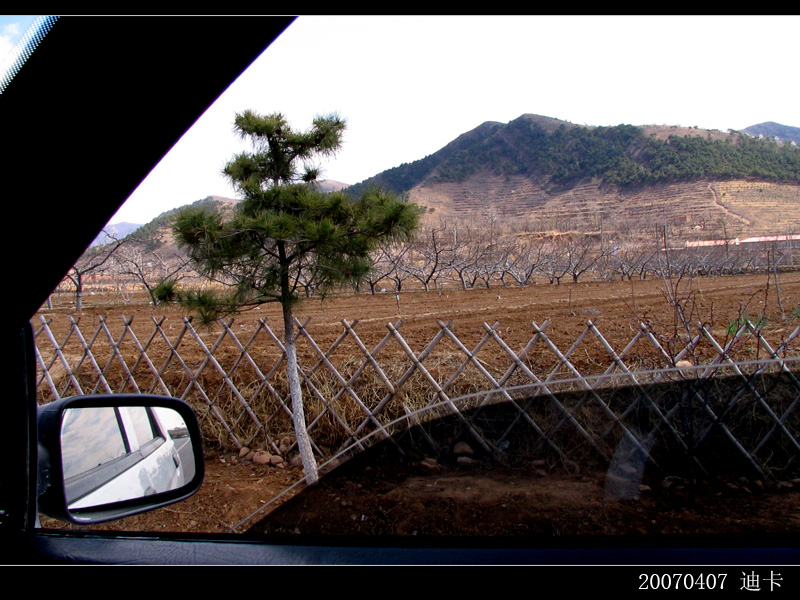 路边风景 摄影 娇蕊