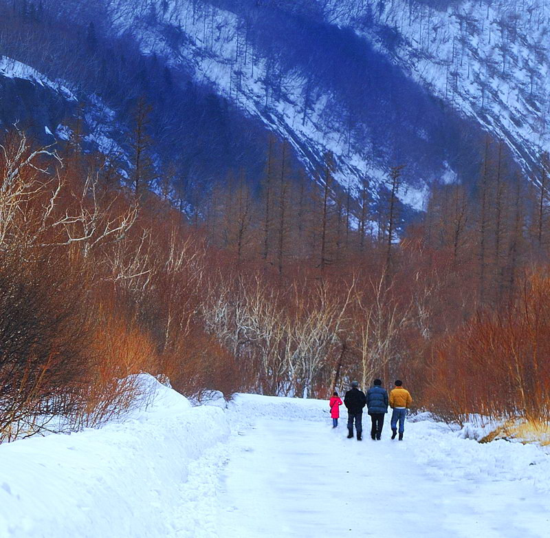 雪色东北 摄影 苏州酒话