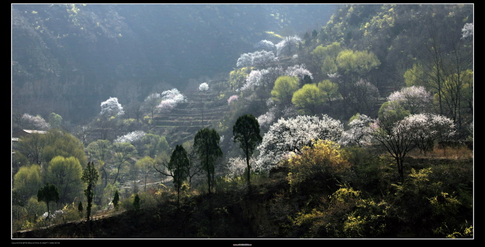 晨光沐浴得太行峡谷 摄影 天地人007