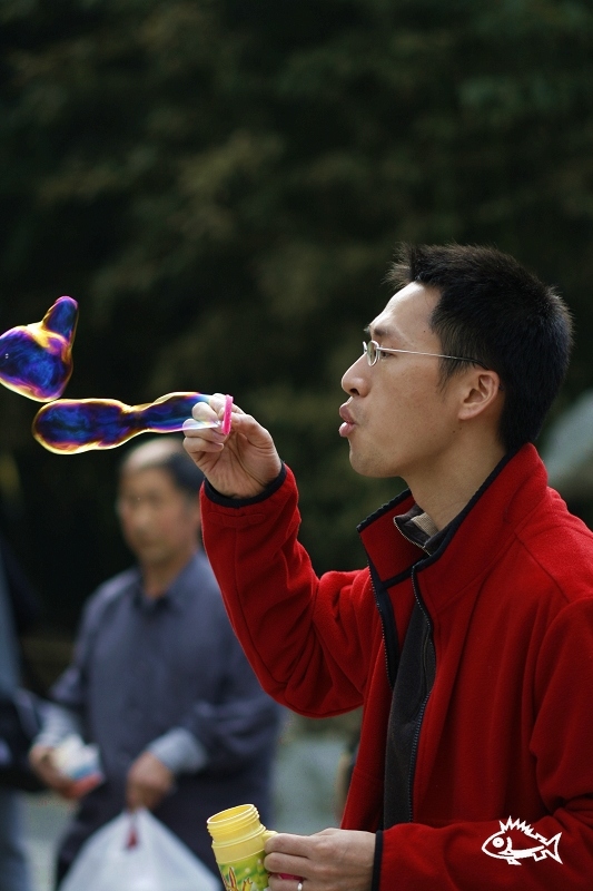 泡泡男 摄影 风中的鱼