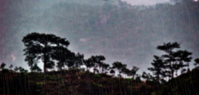 烟雨奔马图 摄影 含川