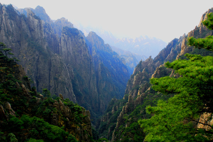 黄山 摄影 水清木华