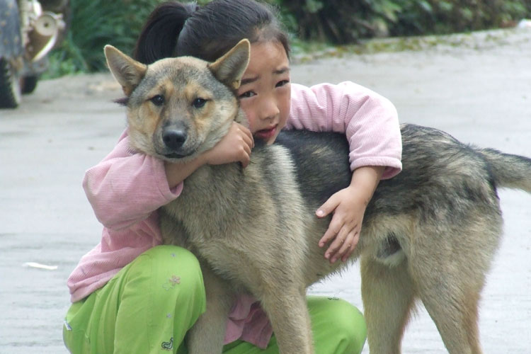 你知道吗 摄影 小成