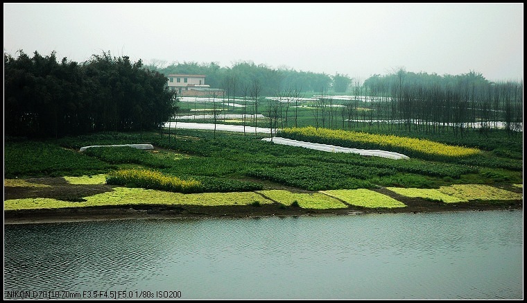 春雨蒙蒙 摄影 酥油茶