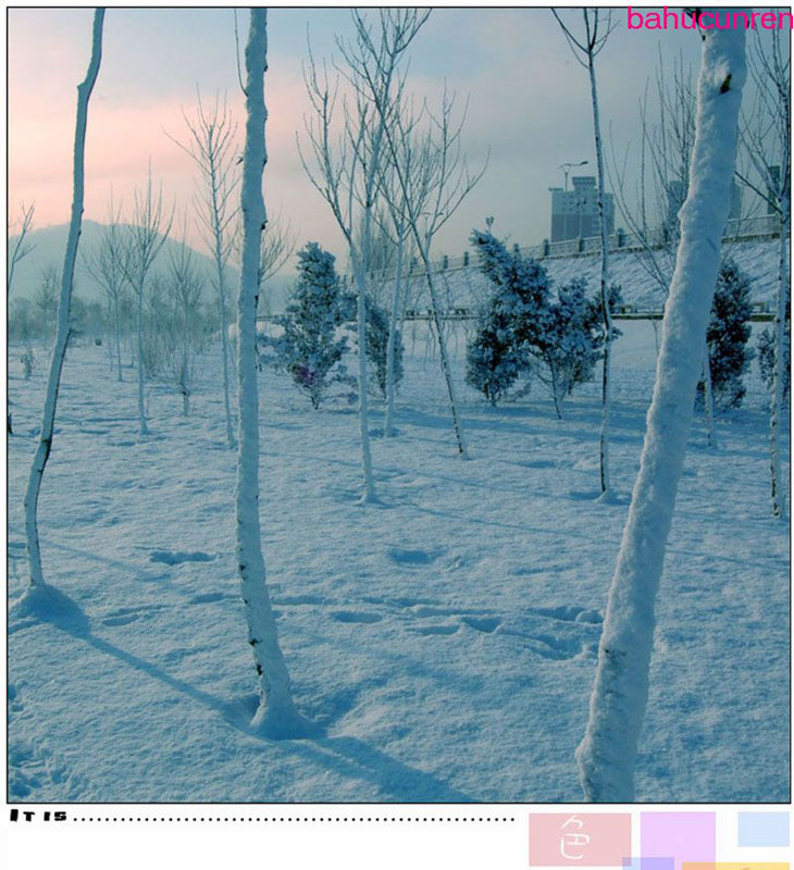 晨曦春雪 摄影 巴虎邨人