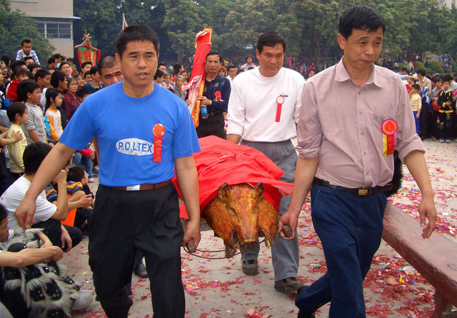 大红烧猪来祭祖 摄影 waber