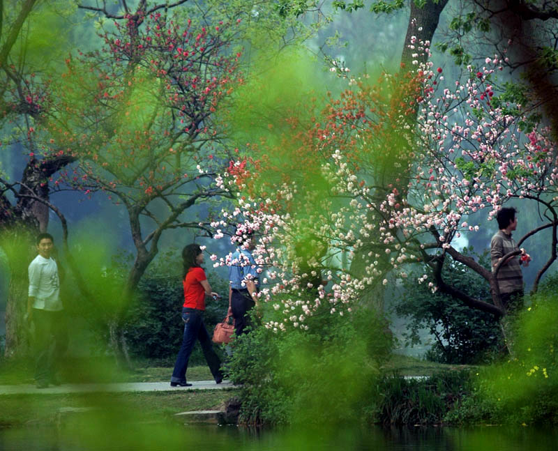 《阳春三月》 摄影 晓风晨曦