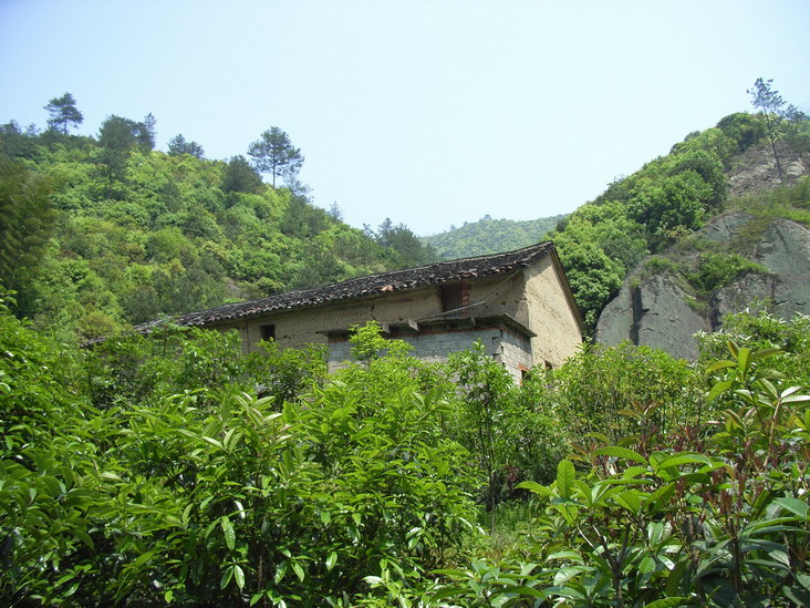 乡村土屋 摄影 宁静