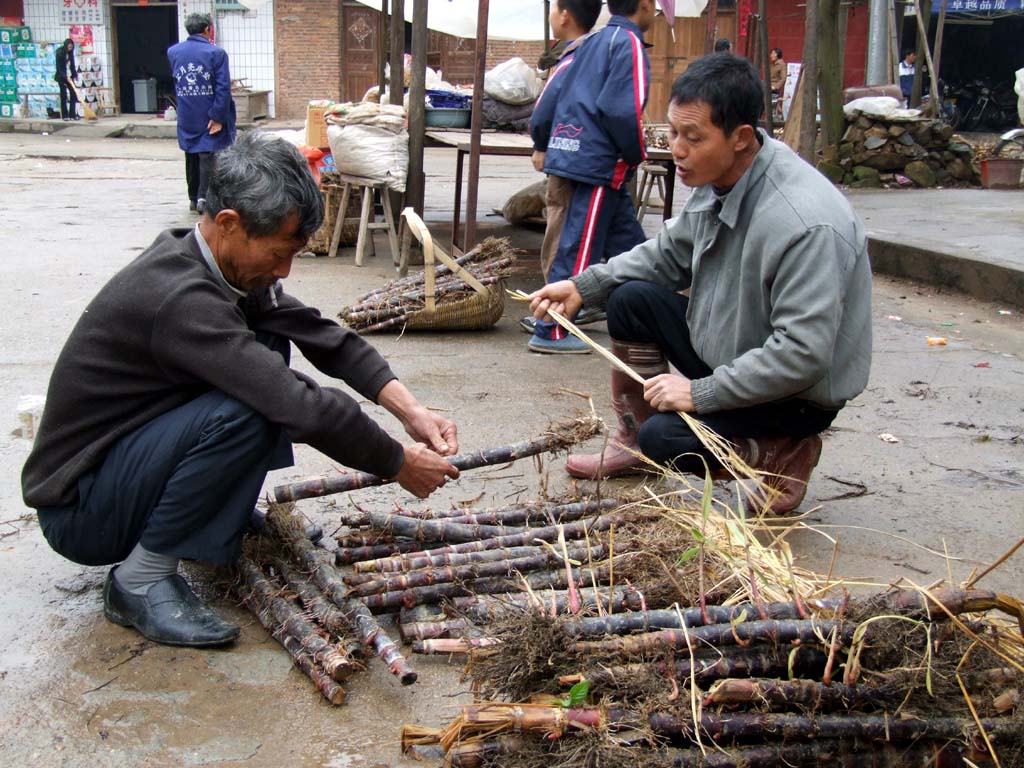 街市买卖 摄影 佳话