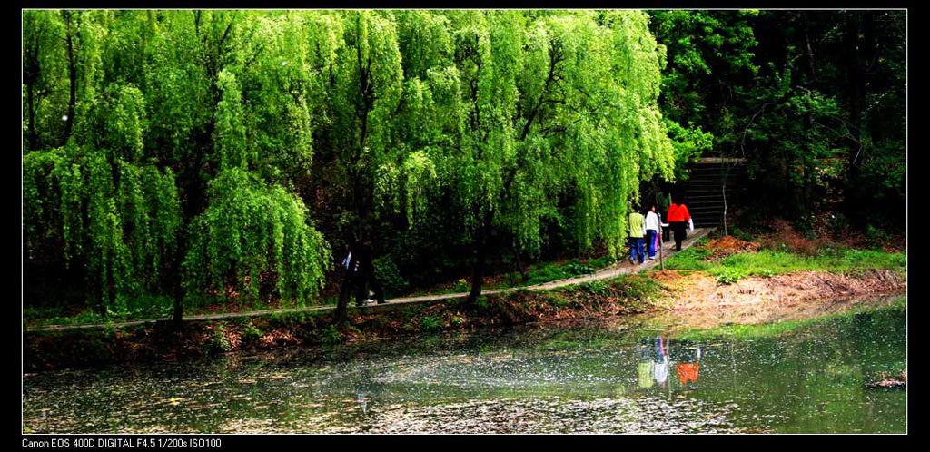 信阳风光 摄影 雨好