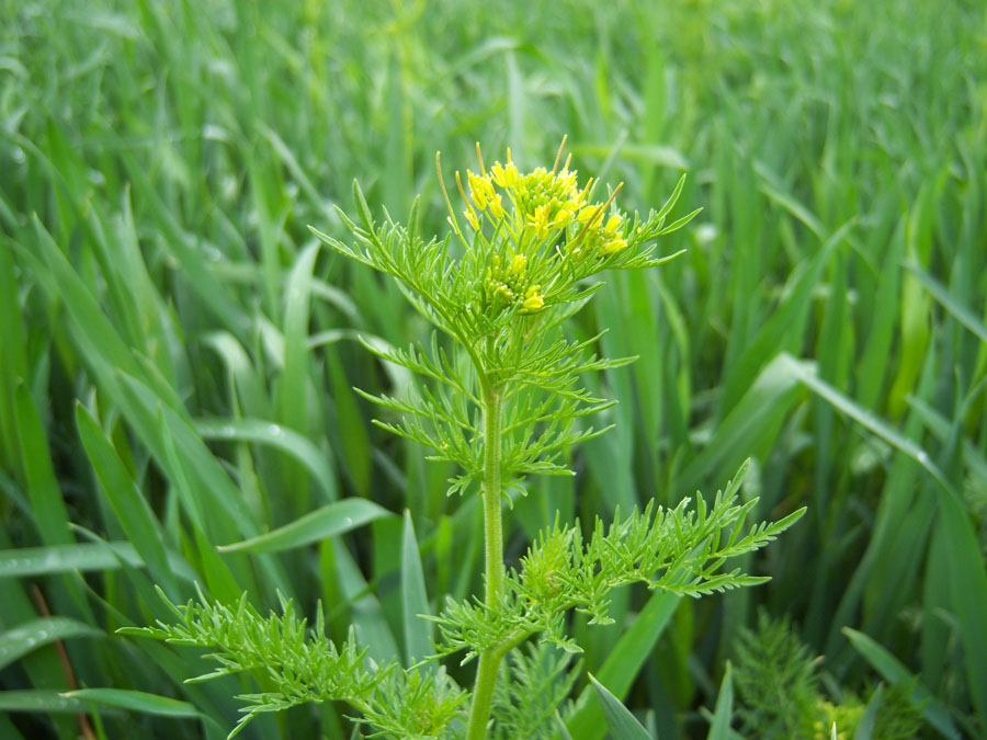 希冀 摄影 秋日风雨