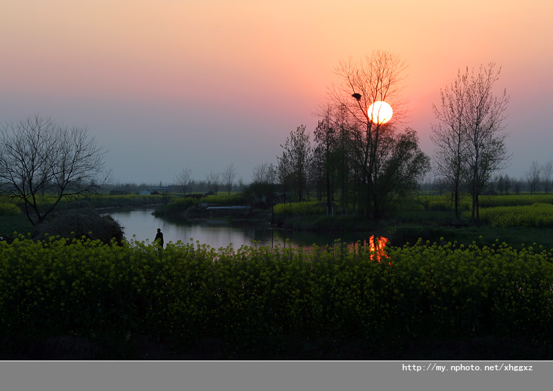 水乡夕照 摄影 板桥竹