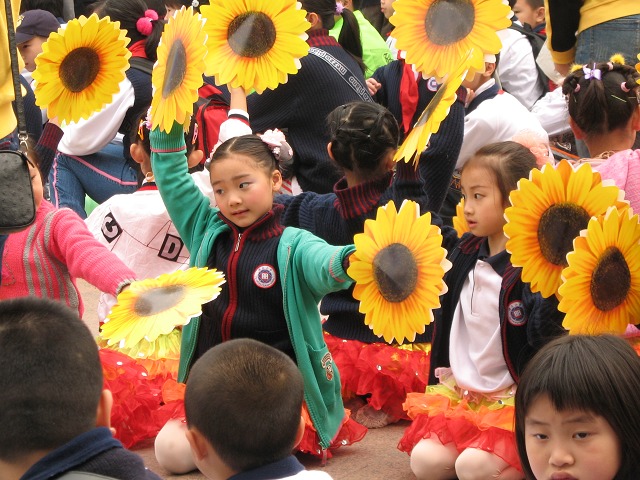 朵朵葵花向太阳 摄影 center