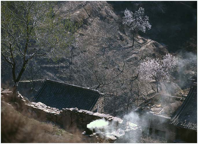 碛口 摄影 大毛毛虫