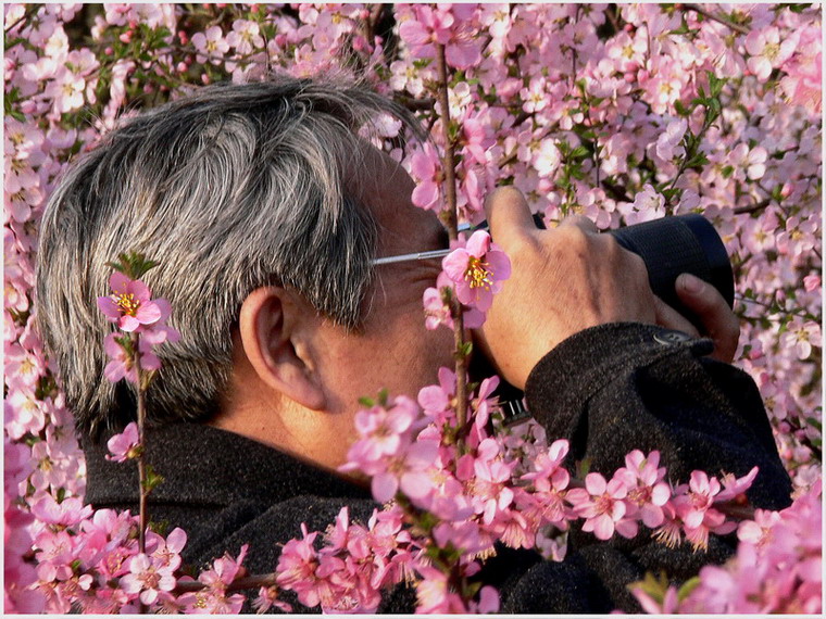 老“蜜蜂” 摄影 摄小兵