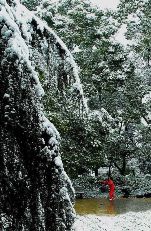 独享寒冬雪 摄影 刘李